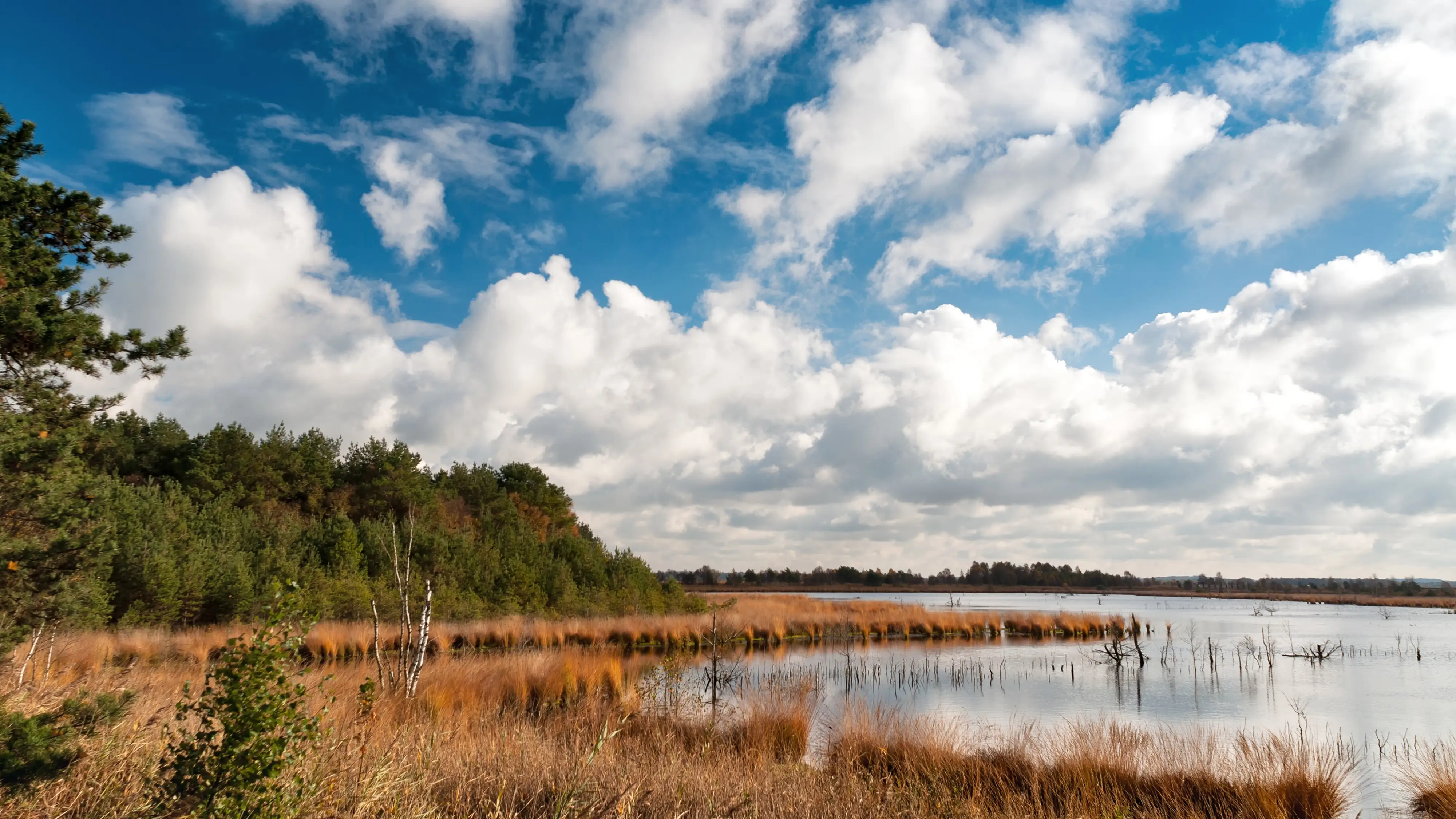 Copyright: pixabay Loyloy Thal