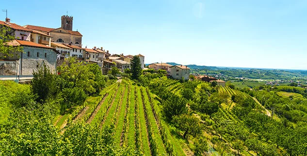 Mediterrane Hügellandschaft mit Weinbergen und einem historischen Dorf auf einer Radreise in Österreich mit der Landpartie