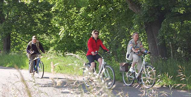 Radreisegruppe der Landpartie auf waldigen Sandwegen im Pommern Küstenwald