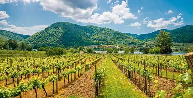 Bild zur Reise Romantische Radreise von Passau nach Wien