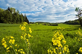 Teaserbild für geführte Wanderreise: Deutschland