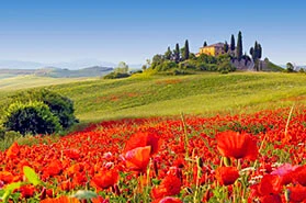 Teaserbild Italien